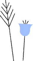 vase1